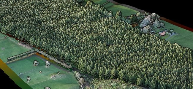 Forest-Woodlot-LiDAR-2-1080x675